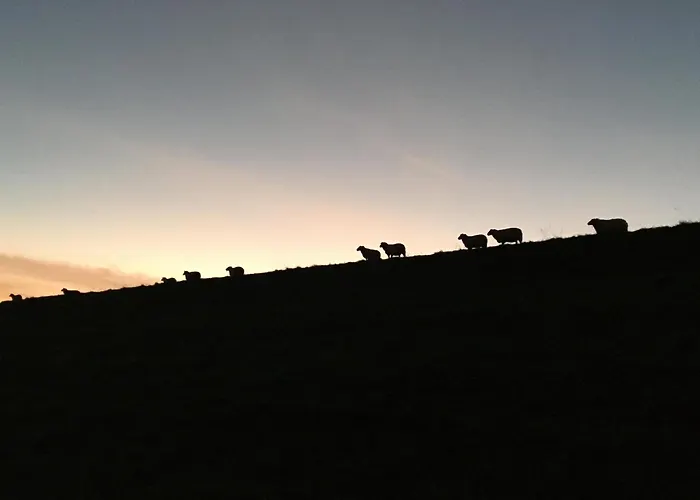 Nordseeresort - Seaside Corner 托斯恩斯